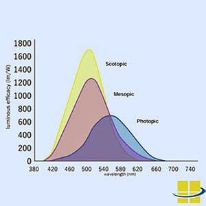 What Is a Scotopic Photopic Ratio and Why Does It Matter?