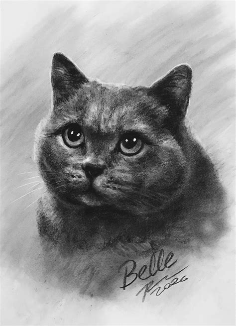 Custom Cat Portrait Charcoal Custom Pet Portrait Pet Commission Custom ...