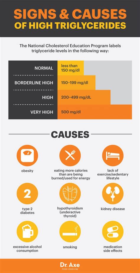 What To Eat With High Triglycerides - What to eat with high ...