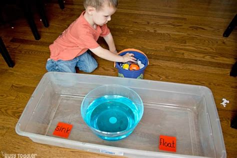 Sink or Float: Toddler Science Experiment - Busy Toddler