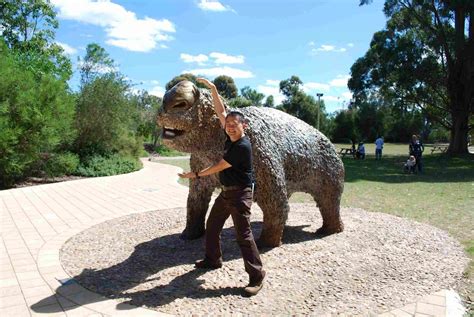 10 Facts About Diprotodon, the Giant Wombat