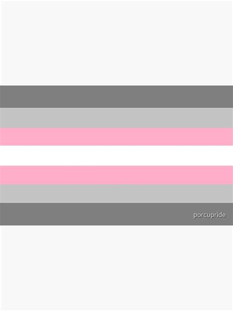 "Demigirl Pride Flag" Art Print by porcupride | Redbubble