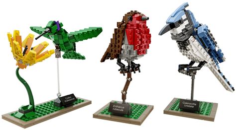 lego-birds