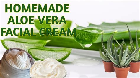 HOW TO MAKE HOMEMADE ALOE VERA FACIAL CREAM | DIY ALOE VERA FACIAL ...