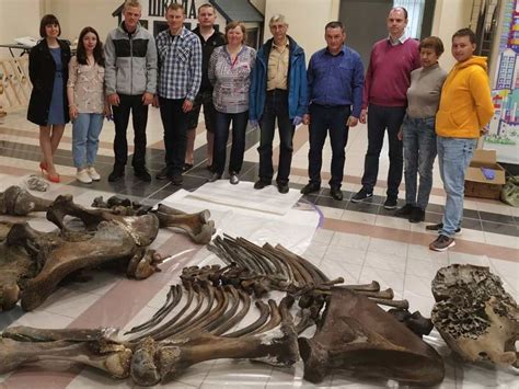 Well-preserved fossil of a woolly mammoth has been discovered in a Siberian lake – Firstpost