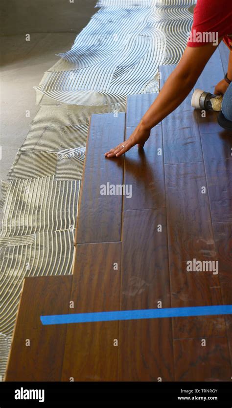 Installation of new engineered wood flooring Stock Photo - Alamy