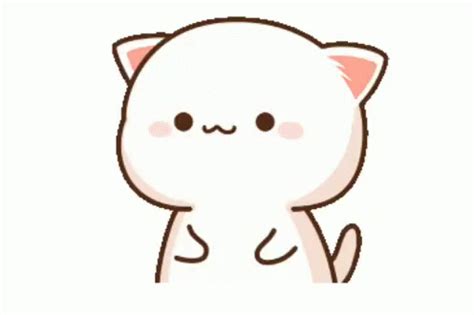 Kitty GIFs | Tenor