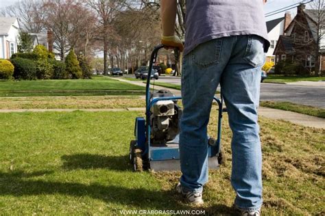 When Should You Power Rake Your Lawn? (2023) | CrabgrassLawn