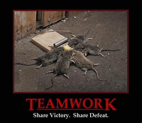 Teamwork - Meme by Rin_Kokonoe95 :) Memedroid