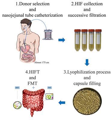 Frontiers | Fecal Microbiota and Human Intestinal Fluid Transplantation: Methodologies and Outlook