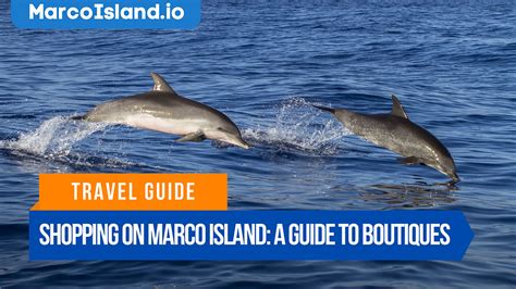 Tips for Exploring the Wildlife of Marco Island | Marco Island Daily News