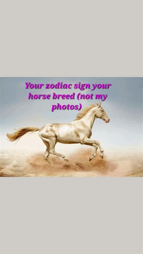 Your Zodiac Sign Is Your Horse! in 2022 | American quarter horse ...