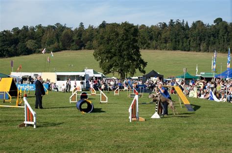 Dog agility competition at Loseley Park © Simon Mortimer cc-by-sa/2.0 ...