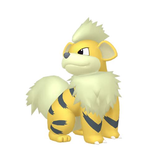 #058 Shiny Growlithe by dakshkohli23 on DeviantArt