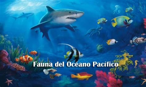 Fauna del Océano Pacifico - Océano pacífico