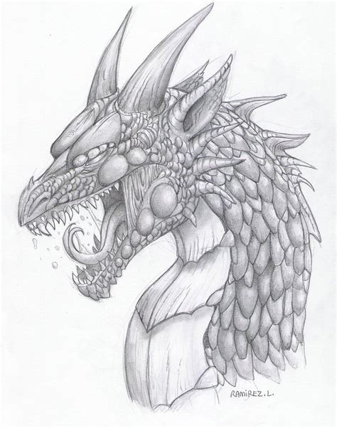 Dragon sketch | Dragon sketch, Sketches, Dragon drawing