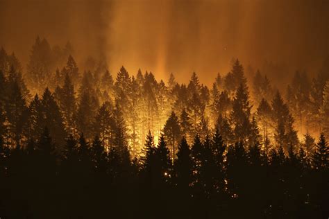 Guilty plea for teen accused of sparking Columbia River Gorge wildfire | The Spokesman-Review