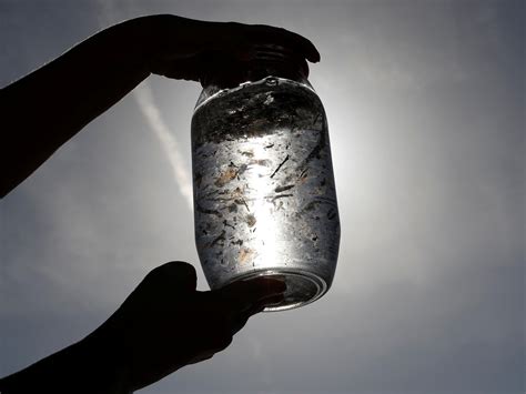 WHO Study Finds No Evidence Of Health Concerns From Microplastics In Drinking Water | WJCT NEWS