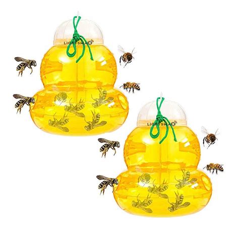 Buy Wasp Trap Bee Traps Jar | Hornet Trap Yellow Jacket Trap Attracts ...