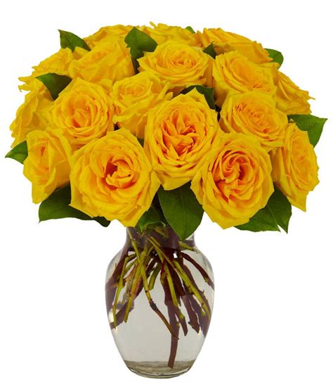 Yellow Rose Bouquet - flowersusa.net