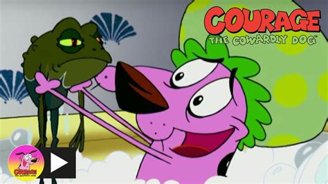 Courage the Cowardly Dog | Too Many Frogs | Cartoon Network - YouTube