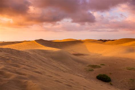 Sahel Desert Stock Photos, Pictures & Royalty-Free Images - iStock