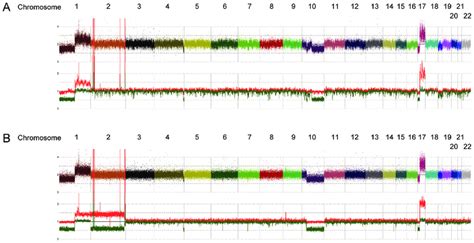 Results of SNP array analysis in (A) primary sample and (B) relapsed... | Download Scientific ...