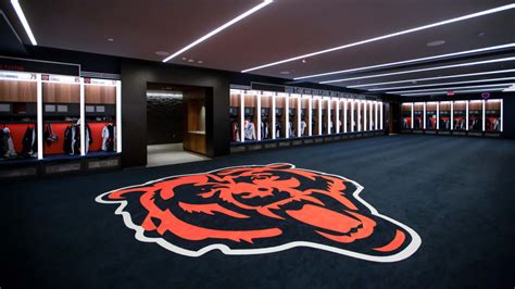 Fans can use a Bears background on Zoom, Join.Me, Webex, and other ...