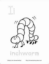 Inchworm Coloring Pages sketch template