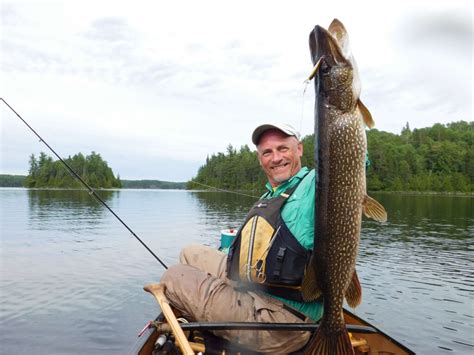 The Challenge and Thrill of Boundary Waters Fishing - friends-bwca.org