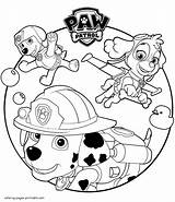 Paw Patrol Printable Coloring Page sketch template