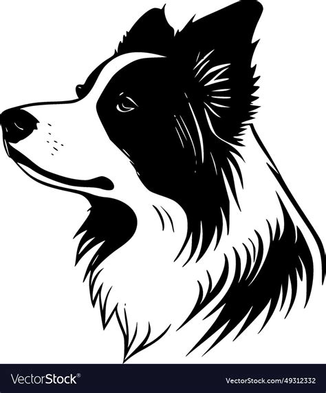 Border collie - high quality logo ideal Royalty Free Vector