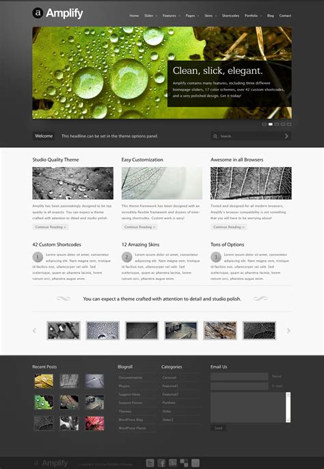 25 Brilliant Examples of Wordpress Portfolio Premium Themes - GraphicsBeam