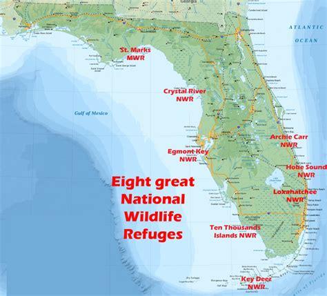 National Wildlife Refuges in Florida: 8 exceptional places