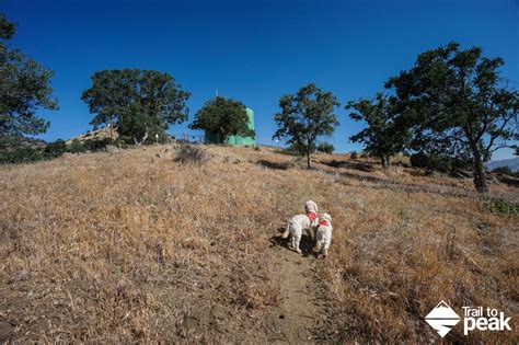 Hiking Black Mountain In Tehachapi - Trail to Peak