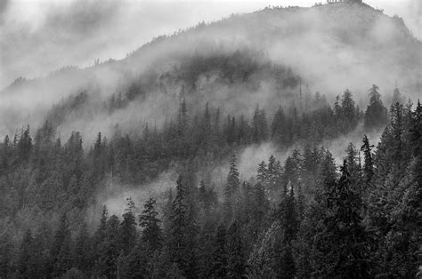 Mountain Fog in Black and White By Kathryn Photograph by Photography By Phos3 Kathryn Parent and ...