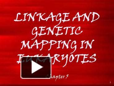 PPT – LINKAGE AND GENETIC MAPPING IN EUKARYOTES PowerPoint presentation | free to view - id ...
