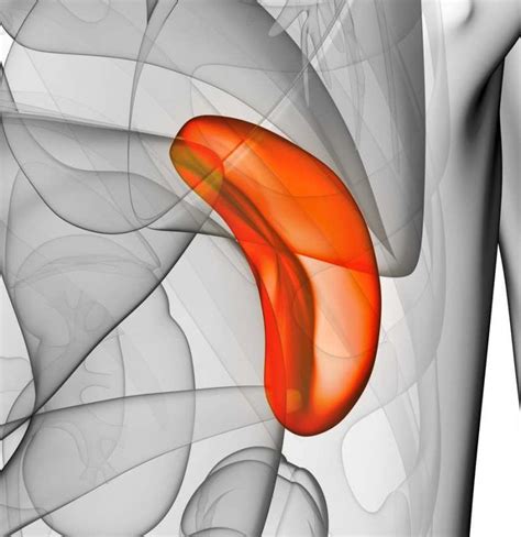 Spleen cancer: Causes, symptoms, and treatments