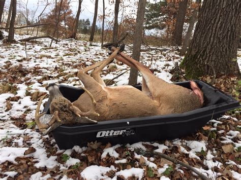 Would a larger sled help haul out deer by spreading out the weight? | Archery Talk Forum