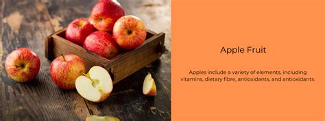 Apple Fruit - Health Benefits, Uses and Important Facts - PotsandPans India