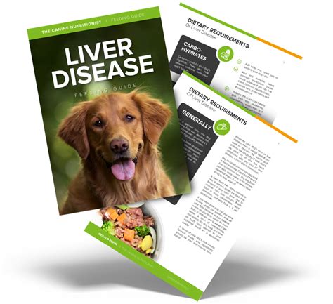 Dog Liver Disease Diet & Feeding Guide | The Canine Nutritionist