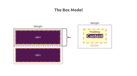 Css Box Model And Positioning Codeproject - vrogue.co