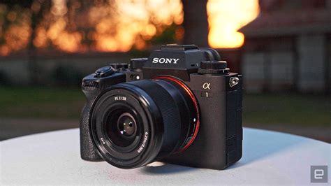 Sony A1 review: The Alpha of mirrorless cameras