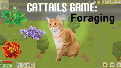 Cattails Game: Foraging Guide - YouTube