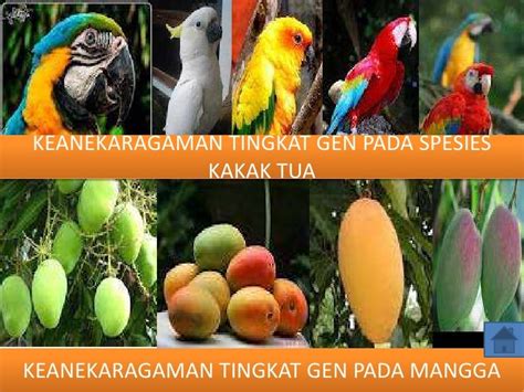 Keanekaragaman Spesies Tertinggi Terdapat Pada Ekosistem