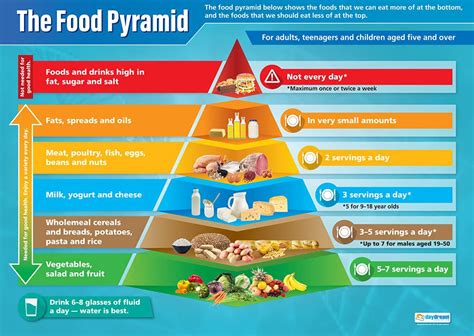 Buy Food Pyramid | Science s | Laminated | Extra Large 33” x 23.5” | STEM Charts for The ...