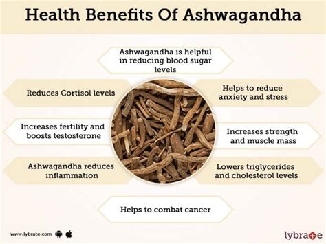 AshwagAndha Benefits And Its Side Effects | Lybrate