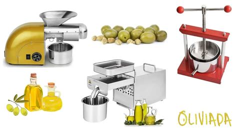 Olive Oil Press Machine For Home Use: A Buyer's Guide | Oliviada