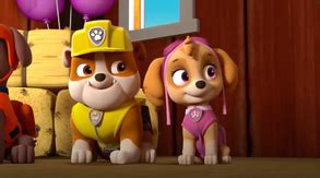 Rubble & Skye | Paw Patrol Relation Ship Wiki | Fandom