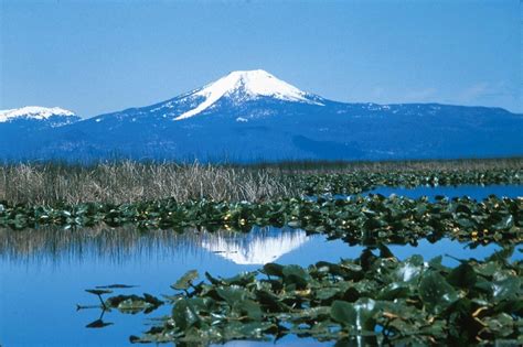 Free picture: swamp, water, landscape